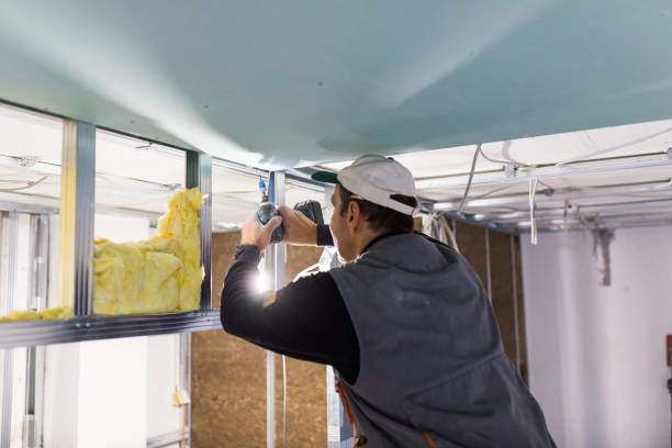 Types of Insulation We Offer in Reston, VA