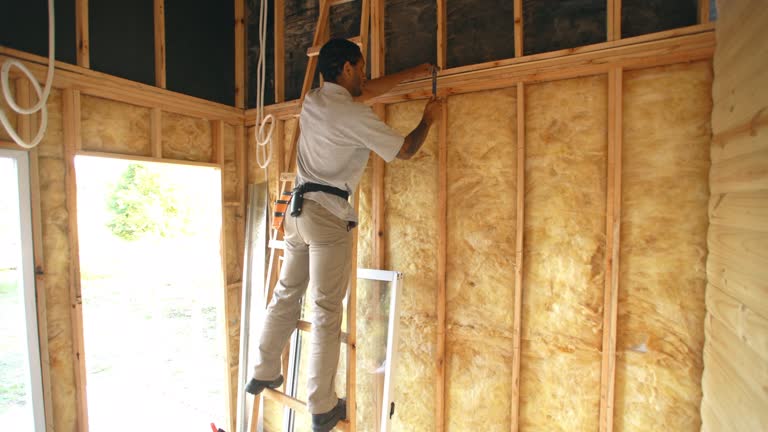 Trusted Reston, VA Insulation Installation & Removal Experts