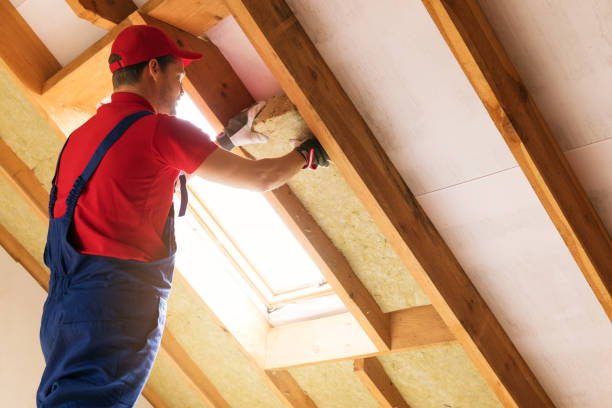 Best Blown-In Insulation  in Reston, VA